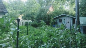 a garden with a shed in the background at The Red House in Celle +10 photos