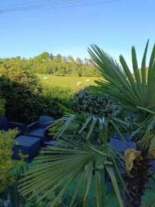 a palm tree in front of a field with cows at gite des palmiers in Ameugny +8 photos