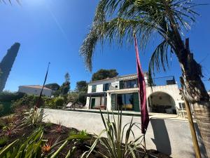 a house with a palm tree in front of it at La Maison du Bonheur in Saint-Raphaël