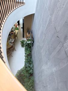 an overhead view of a spiral staircase with plants at Victoria home in Vĩnh Thái