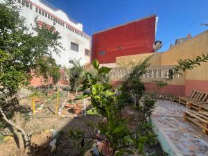 a courtyard of a building with trees and benches at Mavi Surf Stay Tamraght in Tamraght Ouzdar
