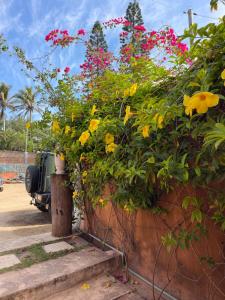 a bunch of flowers are growing on a wall at Takasira Appartment Downtown 2 in Fort Dauphin