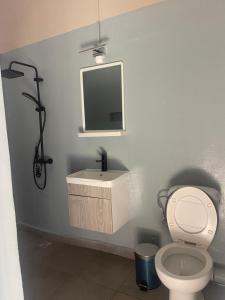 a bathroom with a sink and a toilet and a mirror at Takasira Appartment Downtown 2 in Fort Dauphin +15 photos