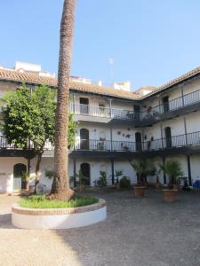 una palmera frente a un edificio en Monumento S.XVI Corralas, en Sevilla