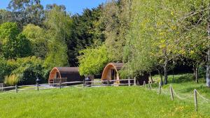 a wooden building in the middle of a field at Glamping at Honnington Farm in Royal Tunbridge Wells