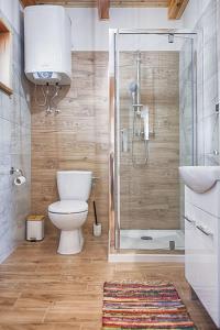a bathroom with a shower and a toilet and a sink at Leśne Siedlisko in Józefów +10 photos