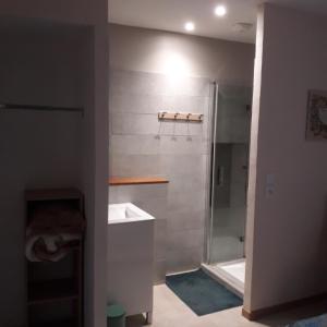 a bathroom with a shower and a sink at Chez René in Montagnac