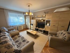 a living room with a couch and a tv at Welcome Ma-Ko in Makó