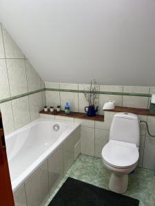 a bathroom with a toilet and a bath tub at Domek Leśny Anioł in Jarnołtówek