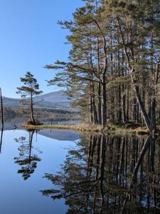 a reflection of trees in the water of a lake at Boat 32 in Boat of Garten