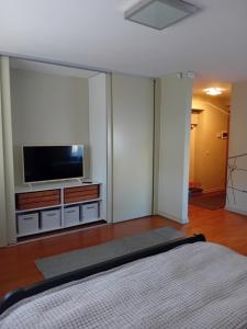 a bedroom with a flat screen tv and a bed at Grīvas apartamenti in Ogre