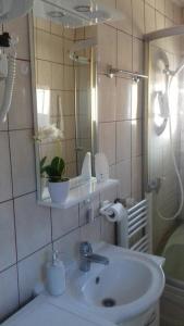 a bathroom with a sink and a mirror at Modern&Cozy Bosnian house with GARDEN+FREE parking in Sarajevo