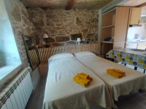 a bedroom with two beds with yellow pillows on them at Vía Láctea Costa da Morte in Dumbría