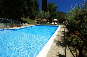 a large blue swimming pool with chairs and umbrellas at Massa Vecchia in Massa Marittima