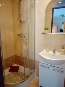 a bathroom with a shower and a sink at ZŁOTY BUK in Jagniątków +36 photos