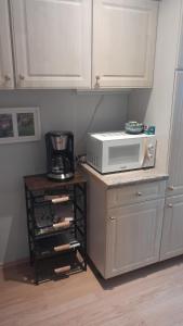 a microwave sitting on a counter next to a kitchen at Taurasteinblick in Burgstaedt