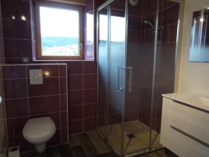 a bathroom with a shower and a toilet and a window at Airellier du Pilat in Marlhes