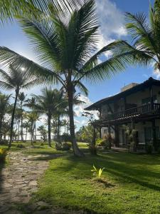 a palm tree in front of a house at KORA MAR - Taipu de Fora - BA in Barra Grande