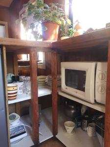 a kitchen shelf with a microwave and plates and plants at Casa del Estero in Pucón
