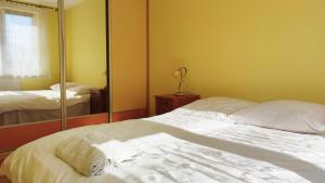 a bedroom with a bed and a large mirror at Apartament Ziołowy in Augustów