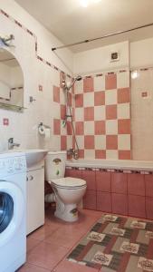 a bathroom with a toilet and a sink and a washing machine at Apartament Ziołowy in Augustów