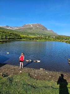 a little girl standing in front of a lake with ducks at Hótel Austur in Reyðarfjörður