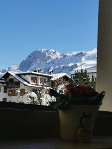 a plant in a window with a view of a mountain at Albergo Ristorante Alle Codole in Canale dʼAgordo