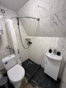 a bathroom with a white toilet and a sink at A-frame У Евелінки in Vorokhta