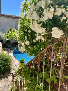 a bush of white flowers on a fence next to a pool at La Maison Des Autres, piscine chauffée, chambres d'hôtes, proche d'Uzès, Nîmes, Pont du Gard, Alès in Saint-Géniès-de-Malgoirès