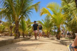 two people walking down a path between palm trees at la villa du parc in Niaga +3 photos