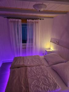a bedroom with a bed with a purple light at Ferienwohnung Daliah in Wangels