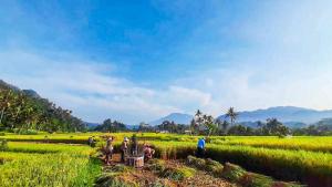 a group of people working in a field at Escape To Paradise With Private Pool in Silebeng +1 photo