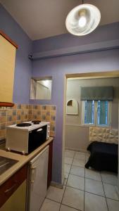 a kitchen with purple walls and a sink and a stove at Garden House Katerina in Leptokarya +74 photos