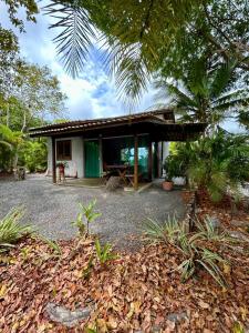 a small house with a green and white at Chalé "Oasis" in Praia do Forte