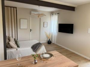 a bedroom with a bed and a flat screen tv at Charmant studio proche du centre-ville in Orange