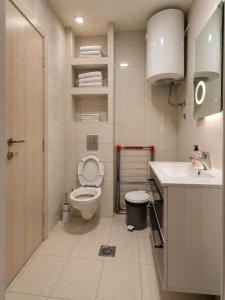 a white bathroom with a toilet and a sink at Ninche's Penthouse - free private parking in Pljevlja +15 photos