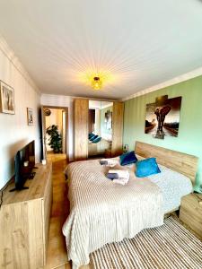 ein Schlafzimmer mit zwei Betten und einem Flachbildfernseher in der Unterkunft Duplex Petrales in Tejina
