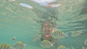 a person swimming in the water with fish at Pousada Nova Flor de Lotus Suites in Tamandaré