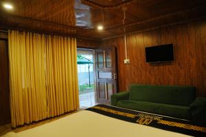 a living room with a green couch and a television at The Barcelo Apartment & Cottages in Naran