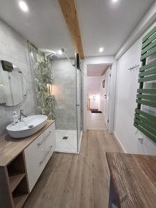 a bathroom with a sink and a glass shower at Apartament Pod Orzechem in Ulinia +32 photos