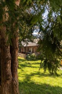 a tree in a yard with a house in the background at Vila Paradiso in Zlatibor +28 photos