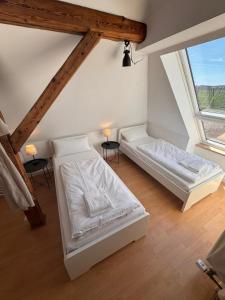 two beds in a room with a large window at Bavaria Home Kitchen Parks No 5 in Geisenfeld