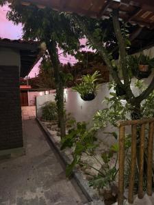 a garden with potted plants on a white wall at Loft Itacoatiara in Niterói