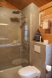 a bathroom with a shower and a toilet and a sink at Ferienhaus Tauber 21 in Hayingen +12 photos