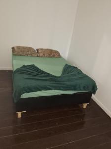 a bedroom with a bed with a green comforter at Pousada Paula Lima II in Juiz de Fora