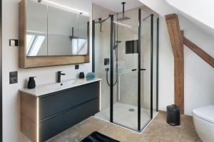 a bathroom with a glass shower and a sink at Vogtlandstadl - Vogtland Chalet in Bad Brambach +33 photos