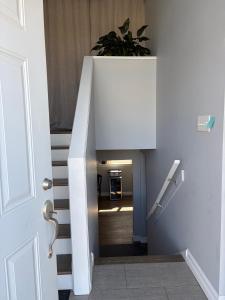 a white staircase with a potted plant at Peaceful Stratford Home Bed and Breakfast - 2 BR Lower Level in Stratford +37 photos