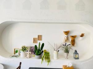 a shelf with plants and other items on it at เชียงคานคลาสสิค in Chiang Khan +23 photos