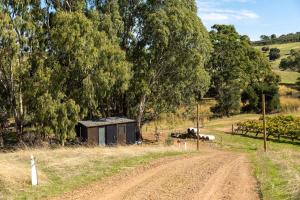 a small shed on a dirt road next to trees at Pedlar Creek Tiny House by Tiny Away in McLaren Vale +17 photos