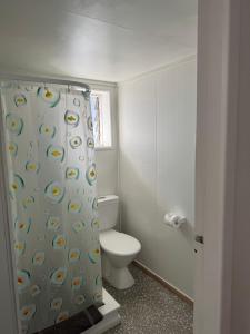 a bathroom with a toilet and a shower curtain at Strand Motel in Tauranga +45 photos